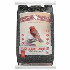 Budget 🤩 Best Pirce 🥰 Backyard Wonder® Black Oil Sunflower Seed Wild Bird Food 😍 ⌛ -Outlet Pets Store 0000128 1