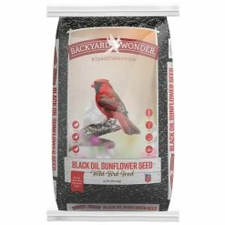 Budget 🤩 Best Pirce 🥰 Backyard Wonder® Black Oil Sunflower Seed Wild Bird Food 😍 ⌛ -Outlet Pets Store 0000129