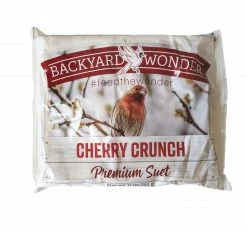 Top 10 🔔 Outlet ✔️ Backyard Wonder® Cherry Crunch Premium Suet 🔔 💯