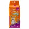 Budget 🎉 Cheapest ✔️ WizSmart Ultra 🦮 🦮 Dog Pads 30 Pk. 😍 😍
