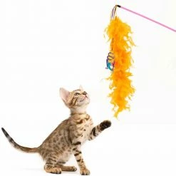 Wholesale 🤩 Cheap 🛒 Kitty City 🌞 ☀️ Summertime Cat Wand Toy 🌟 😉 -Outlet Pets Store 0014446 3