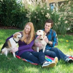 Hot Sale 💯 Hot Sale ⌛ PetSafe Stubborn Wireless Receiver Collar 🧨 🛒 -Outlet Pets Store 0017034 3