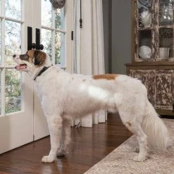 Deals 🔥 Buy 😉 PetSafe Rechargeable Bark Collar 🤩 🧨 -Outlet Pets Store 0017064 3