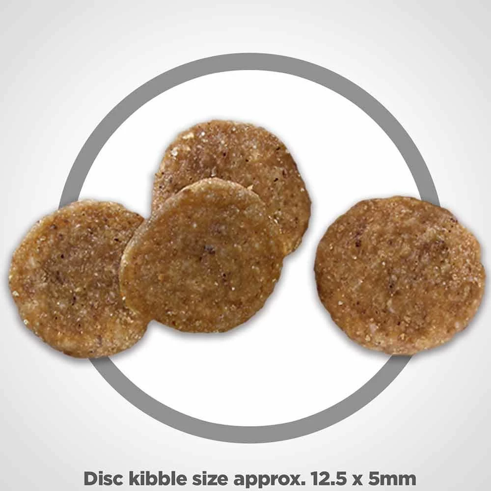 Wholesale 🎁 Brand new 🌟 Hill's Science Diet Adult No Corn, Wheat, Soy 🐶 🐕 Dog Food 🎉 🔔 2 Wholesale 🎁 Brand new 🌟 Hill's Science Diet Adult No Corn, Wheat, Soy 🐶 🐕 Dog Food 🎉 🔔 - Image 2