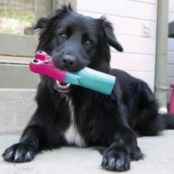 Hot Sale ❤️ Outlet 🔥 KONG® Wiggi Goofz - Assorted 🤩 😀 -Outlet Pets Store 0028789 2