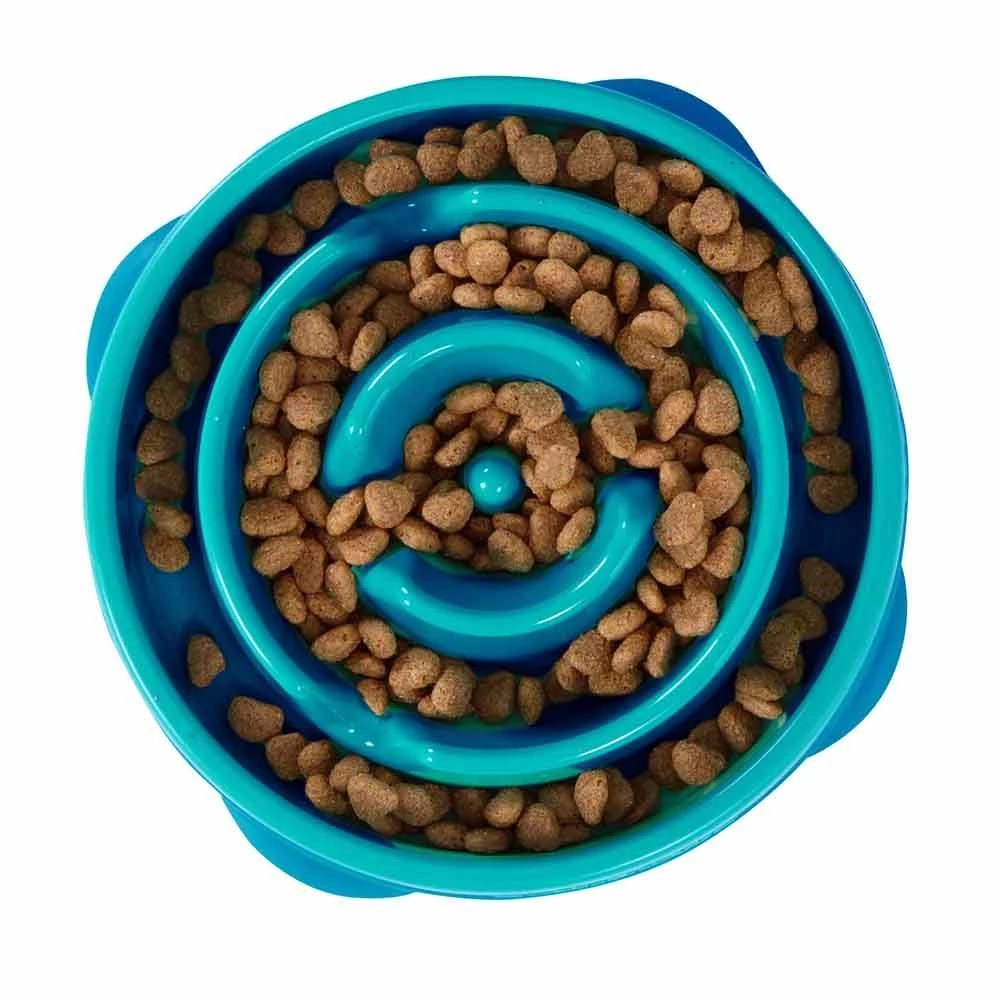 Budget π Deals π Outward Hound Fun Feeder Drop πΆ π Dog Feeder - Medium, Turquoise π§¨ π€© 2 Budget π Deals π Outward Hound Fun Feeder Drop πΆ π Dog Feeder - Medium, Turquoise π§¨ π€© - Image 2