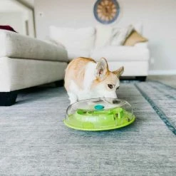 Cheapest 👍 Hot Sale 🌟 Outward Hound Wobble Bowl Interactive 🐶 🐕 Dog Food Bowl ❤️ 👍 -Outlet Pets Store 0031949 4