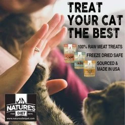 Outlet ⌛ Best Sale 🧨 Nature's Diet Freeze Dried Raw Cat Treats 🎉 🧨 -Outlet Pets Store 0036391 1