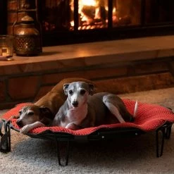 Best Sale 🔥 Best deal 🤩 Kurgo TaGo Pet Bed 🥰 🛒 -Outlet Pets Store 0042299 3