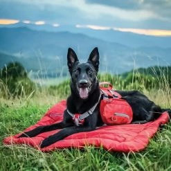 Flash Sale 😀 Wholesale 🔥 Kurgo Loft Wander Pet Bed - Large 😍 💯 -Outlet Pets Store 0042300 2