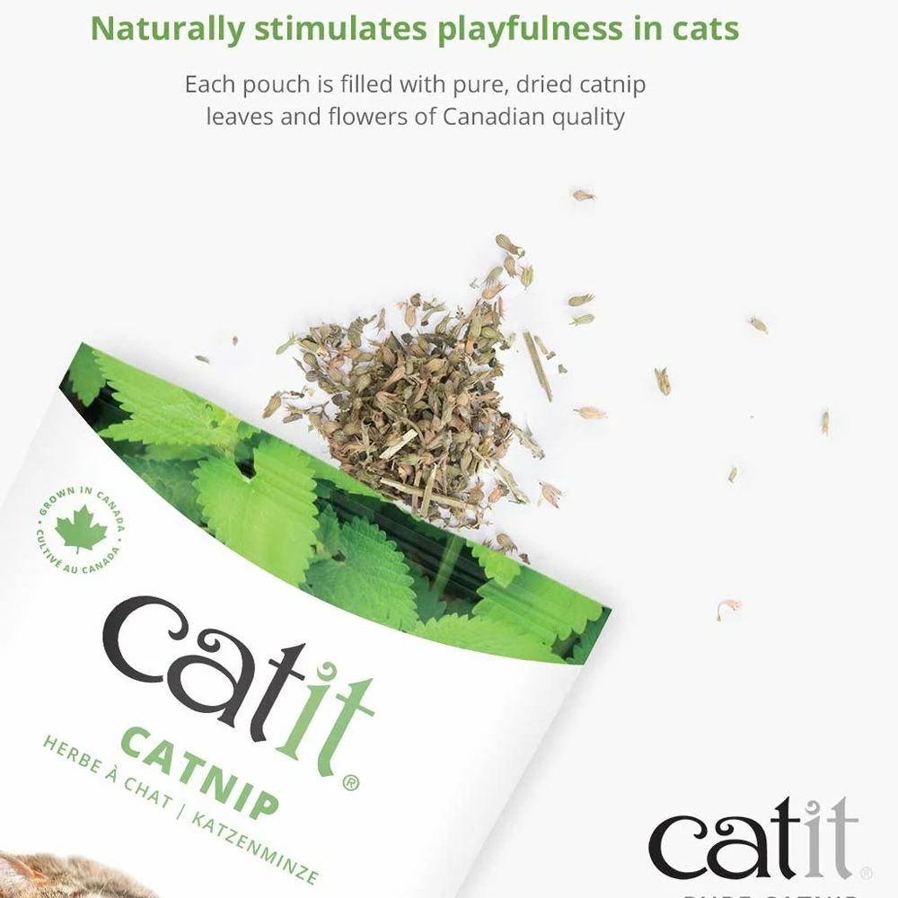 Discount β Best deal π₯° Catit Catnip β¨ π₯° 2 Discount β Best deal π₯° Catit Catnip β¨ π₯° - Image 2