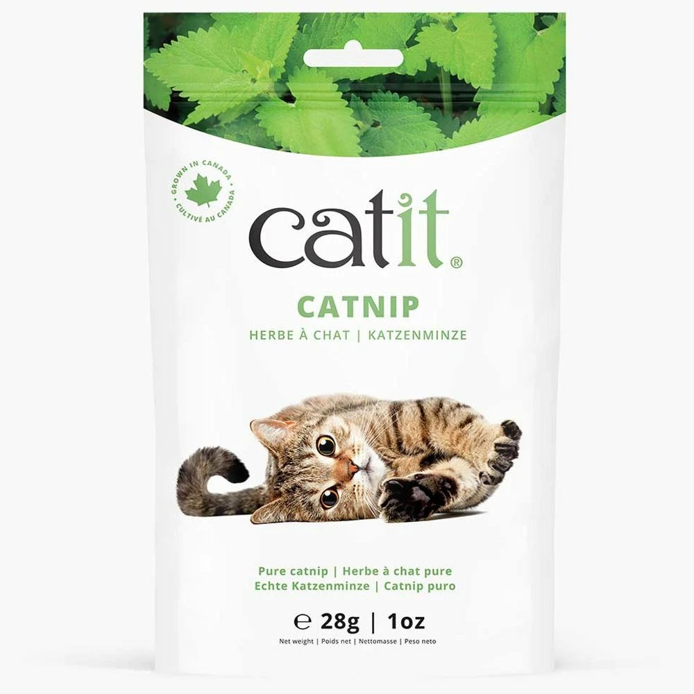 Discount β Best deal π₯° Catit Catnip β¨ π₯° 1 Discount β Best deal π₯° Catit Catnip β¨ π₯°