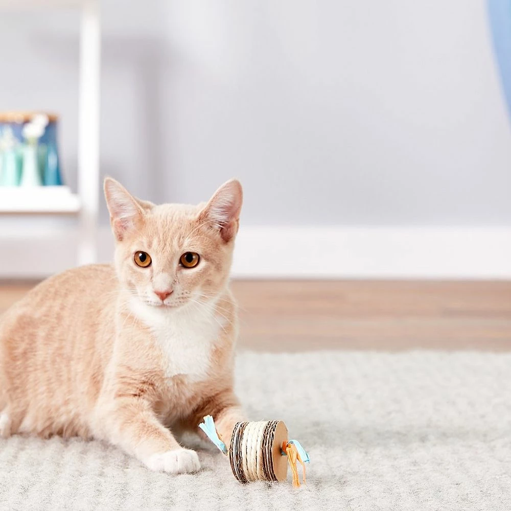 Brand new ๐ฏ Top 10 ๐ Catit Sisal Cylinder Cat Toy โ โค๏ธ 2 Brand new ๐ฏ Top 10 ๐ Catit Sisal Cylinder Cat Toy โ โค๏ธ - Image 2