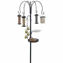 Budget ⌛ Best deal 😉 Gardman Superior Bird Feeding Station 😉 💯