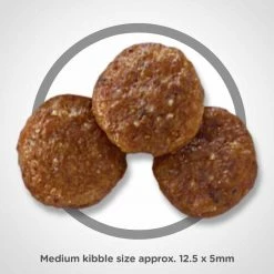 Best deal 🧨 Cheap 😍 Hill's Science Diet Adult Chicken & Barley Recipe Dry 🐕 🐕 Dog Food 5 Lb. 😀 🧨 -Outlet Pets Store 1002956 1