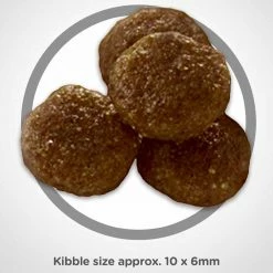 Wholesale 👍 Promo 🌟 Hill's Science Diet Adult Small Bites Lamb Meal & Borwn Rice Recipe 🐶 🦮 Dog Food 🤩 👏 -Outlet Pets Store 1011338 1