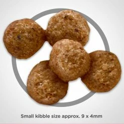 Best reviews of ๐ Wholesale ๐ฏ Hill's Science Diet Adult Light Small Bites ๐ถ ๐ฆฎ Dog Food ๐ฅ ๐ฅฐ 8 Best reviews of ๐ Wholesale ๐ฏ Hill's Science Diet Adult Light Small Bites ๐ถ ๐ฆฎ Dog Food ๐ฅ ๐ฅฐ -Outlet Pets Store 1011339 1