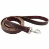 Buy 😍 Buy 🌟 Circle T®Latigo Leather Leash ⌛ 👏