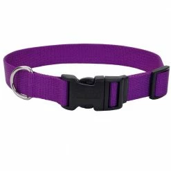 Outlet ❤️ Coupon 🔔 Coastal Pet Adjustable 🦮 🐕 Dog Collar With Plastic Buckle ✨ 😉 -Outlet Pets Store 1243635
