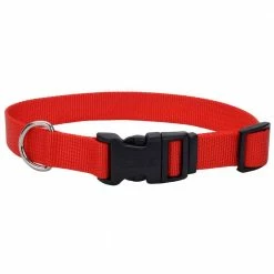 Outlet ❤️ Coupon 🔔 Coastal Pet Adjustable 🦮 🐕 Dog Collar With Plastic Buckle ✨ 😉 -Outlet Pets Store 1243642