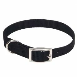 Outlet ✨ Brand new ⭐ Coastal Pet Single-Ply Nylon 🦮 🦮 Dog Collar 🤩 👏