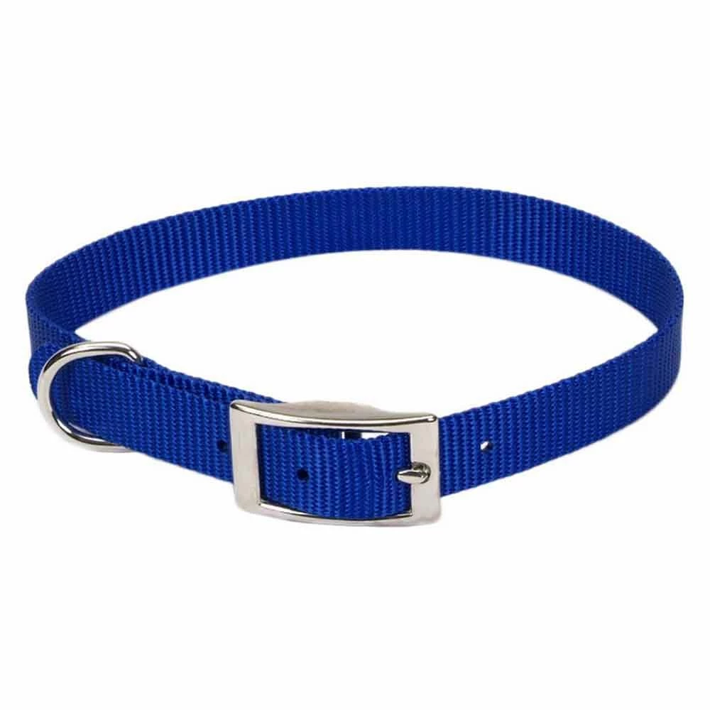 Outlet โจ Brand new โญ Coastal Pet Single-Ply Nylon ๐ฆฎ ๐ฆฎ Dog Collar ๐คฉ ๐ 2 Outlet โจ Brand new โญ Coastal Pet Single-Ply Nylon ๐ฆฎ ๐ฆฎ Dog Collar ๐คฉ ๐ - Image 2