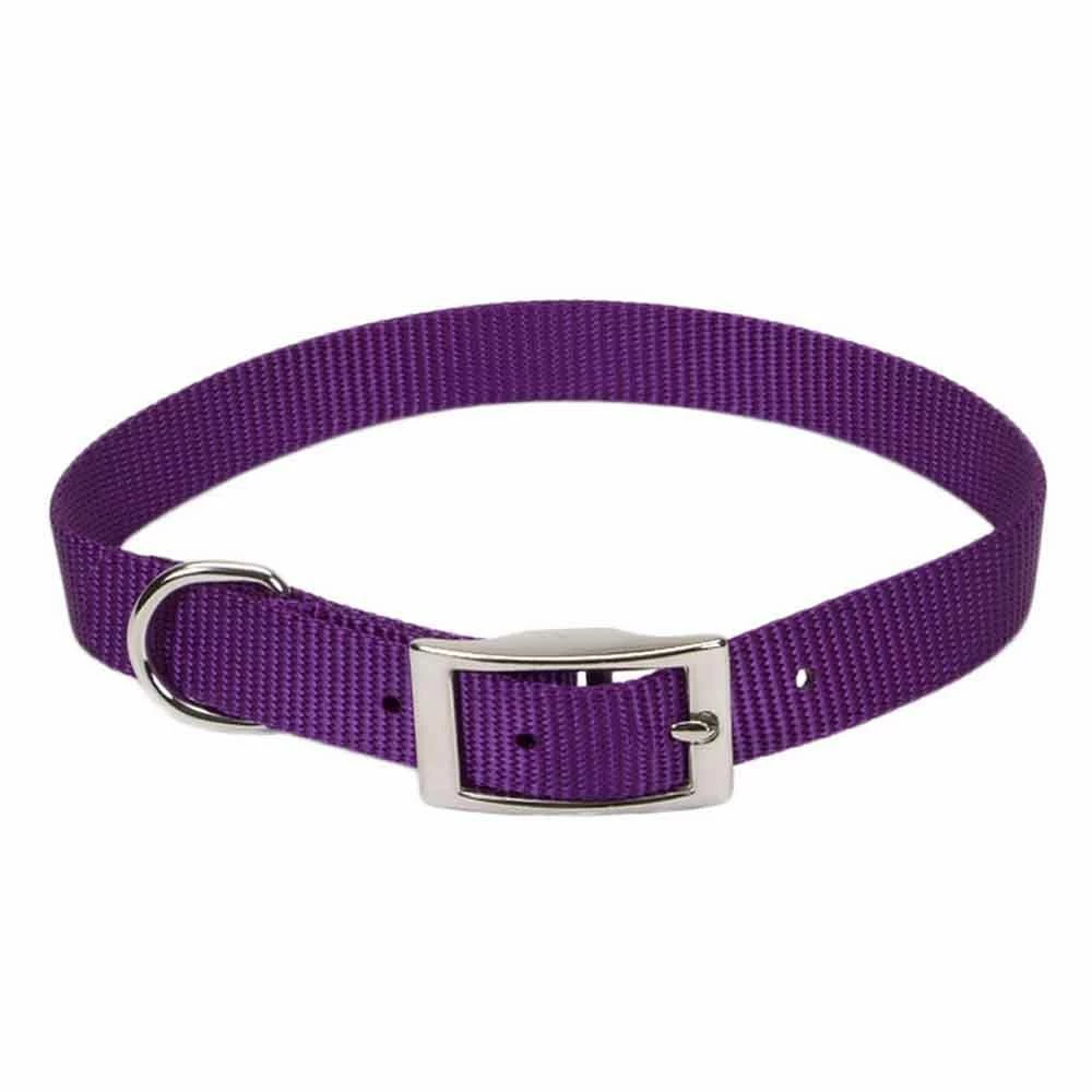 Outlet โจ Brand new โญ Coastal Pet Single-Ply Nylon ๐ฆฎ ๐ฆฎ Dog Collar ๐คฉ ๐ 4 Outlet โจ Brand new โญ Coastal Pet Single-Ply Nylon ๐ฆฎ ๐ฆฎ Dog Collar ๐คฉ ๐ - Image 4