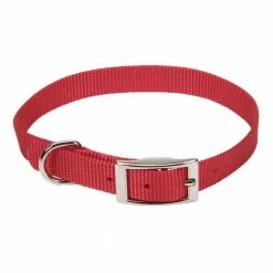 Outlet โจ Brand new โญ Coastal Pet Single-Ply Nylon ๐ฆฎ ๐ฆฎ Dog Collar ๐คฉ ๐ 9 Outlet โจ Brand new โญ Coastal Pet Single-Ply Nylon ๐ฆฎ ๐ฆฎ Dog Collar ๐คฉ ๐ -Outlet Pets Store 1244244