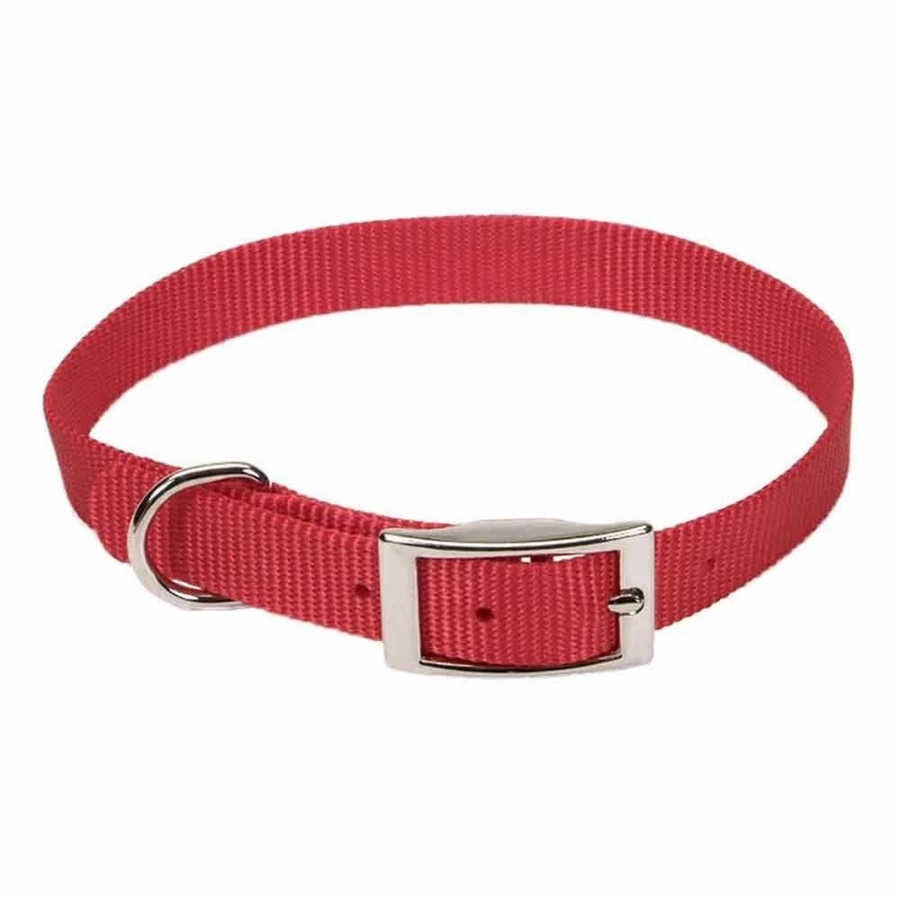 Outlet โจ Brand new โญ Coastal Pet Single-Ply Nylon ๐ฆฎ ๐ฆฎ Dog Collar ๐คฉ ๐ 5 Outlet โจ Brand new โญ Coastal Pet Single-Ply Nylon ๐ฆฎ ๐ฆฎ Dog Collar ๐คฉ ๐ - Image 5
