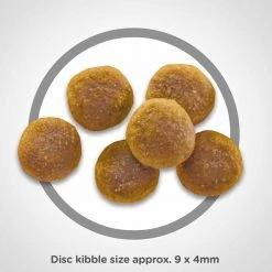 Coupon 🌟 Best deal 👏 Hill's Science Diet Adult Chicken Recipe Cat Food ⌛ ✔️ -Outlet Pets Store 1262640 1 1