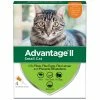 Coupon 👍 Hot Sale ⭐ Advantage® II Topical Flea Treatment For Cats 🎁 🎉