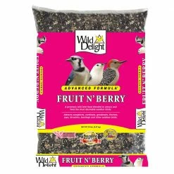 Budget 🔥 Discount 🤩 Wild Delight Fruit N' Berry- Bird Food 💯 🎉