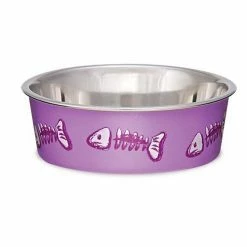 Flash Sale 👏 Deals 🧨 Extra Small Cat Dish 😍 🎉