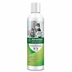 Brand new 😀 Budget ⭐ Advantage® Advantage® Flea Treatment Shampoo For Cat/Kitten 8 Oz. 🧨 🔥