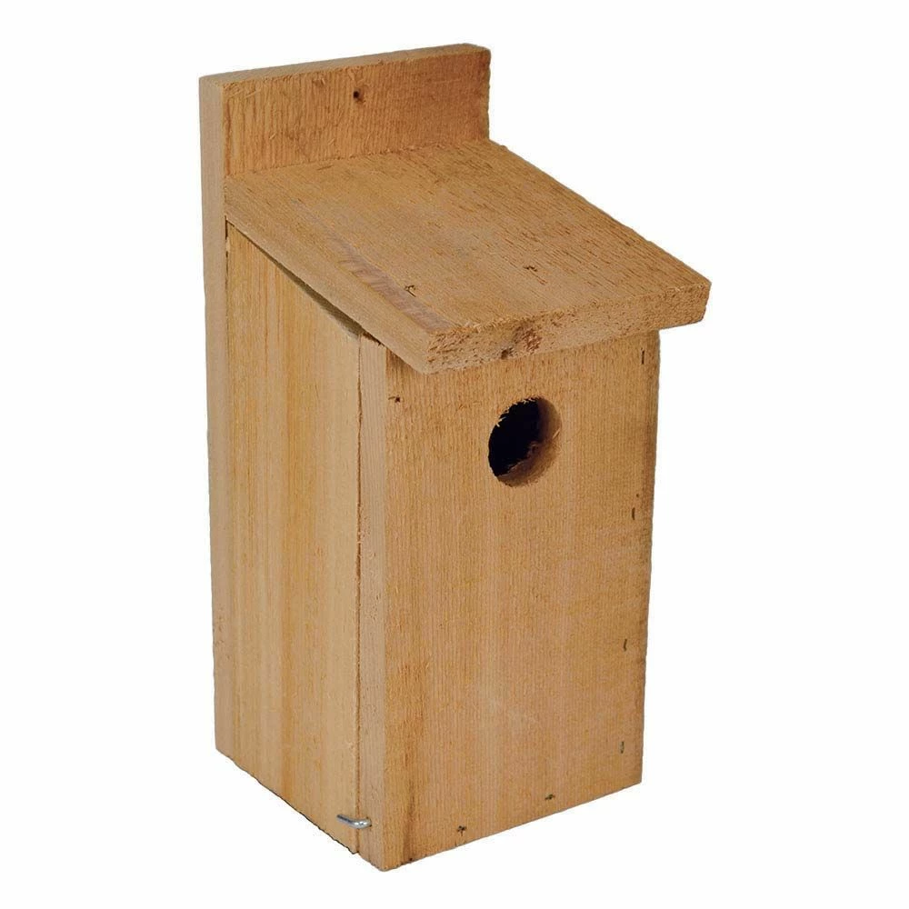 Flash Sale π Budget π Backyard Wonder® Bluebird House β¨ π 2 Flash Sale π Budget π Backyard Wonder® Bluebird House β¨ π - Image 2