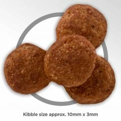 Promo 👍 Deals ❤️ Hill's Science Diet Adult Perfect Weight 🐶 🦮 Dog Food 💯 🌟 -Outlet Pets Store 7377519 3 1