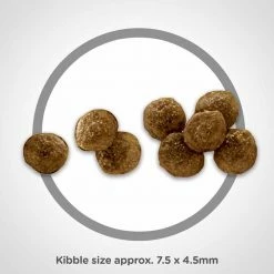 Brand new ✨ Hot Sale ❤️ Hill's Science Diet Adult Small Paws™ Lamb Meal & Brown Rice Recipe 🦮 🐕 Dog Food 4.5 Lb. ⌛ ✔️ -Outlet Pets Store 7377529 1