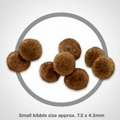 Outlet ๐งจ Cheap ๐ฅ Hill's Science Diet Adult 11+ Small Paws™ ๐ฆฎ ๐ฆฎ Dog Food 4.5 Lb. ๐คฉ ๐ 8 Outlet ๐งจ Cheap ๐ฅ Hill's Science Diet Adult 11+ Small Paws™ ๐ฆฎ ๐ฆฎ Dog Food 4.5 Lb. ๐คฉ ๐ -Outlet Pets Store 7377530 1