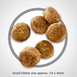 Coupon ๐ New โค๏ธ Hill's Science Diet Adult 7+ Senior Vitality Small & Mini ๐ถ ๐ Dog Food 3.5 Lb. โ๏ธ ๐ 8 Coupon ๐ New โค๏ธ Hill's Science Diet Adult 7+ Senior Vitality Small & Mini ๐ถ ๐ Dog Food 3.5 Lb. โ๏ธ ๐ -Outlet Pets Store 7387414 1