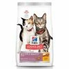 Best Sale 💯 Best Pirce 🥰 Hill's Science Diet Adult Multiple Benefit Cat Food 🎉 🔔