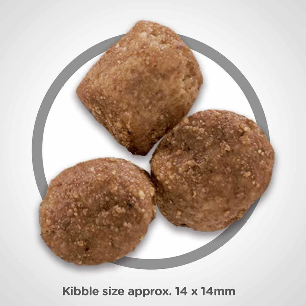 Flash Sale ๐ Best Sale ๐ Hill's Science Diet Adult Healthy Mobility® LargeBreed ๐ถ ๐ถ Dog Food 30 Lb. โจ ๐ฏ 3 Flash Sale ๐ Best Sale ๐ Hill's Science Diet Adult Healthy Mobility® LargeBreed ๐ถ ๐ถ Dog Food 30 Lb. โจ ๐ฏ - Image 3