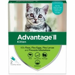 Coupon ๐ Hot Sale โญ Advantageยฎ II Topical Flea Treatment For Cats ๐ ๐ 5 Coupon ๐ Hot Sale โญ Advantageยฎ II Topical Flea Treatment For Cats ๐ ๐ -Outlet Pets Store 7407931 front 1