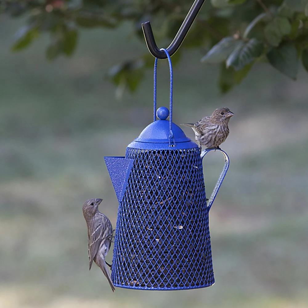 Best Pirce π Flash Sale β¨ Perky Pet Coffee Pot Mesh Bird Feeder π π 2 Best Pirce π Flash Sale β¨ Perky Pet Coffee Pot Mesh Bird Feeder π π - Image 2