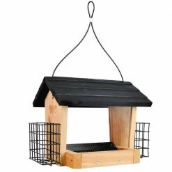 Buy π₯ Buy β¨ Nature'S Way 3 Qt. Hopper Feeder With Suet Cages β π