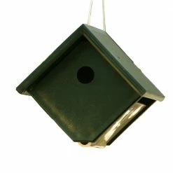 Cheap 🔥 Best Sale 🌟 Songbird Essentials Recycled Plastic Wren House 🛒 ✨