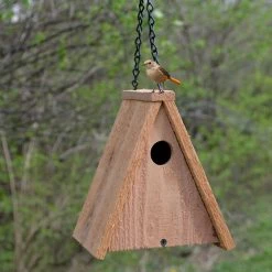 Best Sale 🌟 Promo 🔥 Songbird Essentials A-Frame Cedar Wren House 🎁 ✨