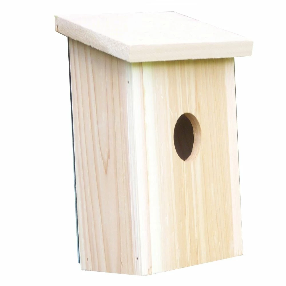 Best deal π Hot Sale π Songbird Essentials Nest View Bird House π₯° π 1 Best deal π Hot Sale π Songbird Essentials Nest View Bird House π₯° π
