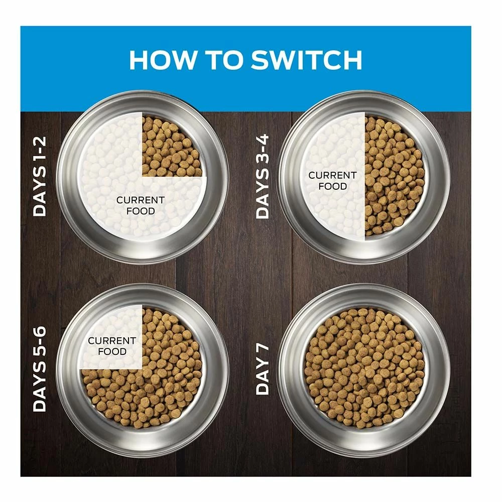 Best reviews of π Buy π πΆ Dog Chow Complete Adult Dry πΆ πΆ Dog Food With Real Chicken 50 Lb. β π€© 2 Best reviews of π Buy π πΆ Dog Chow Complete Adult Dry πΆ πΆ Dog Food With Real Chicken 50 Lb. β π€© - Image 2