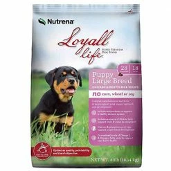 Best reviews of 🔥 Best deal 🔔 Nutrena Loyall Life® Puppy Large Breed Chicken & Brown Rice Recipe 40 Lb. 🎁 ⭐