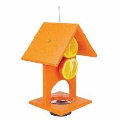 Hot Sale 𧨠Discount π Backyard Wonder® Fruit & Jelly Oriole Feeder π― π
